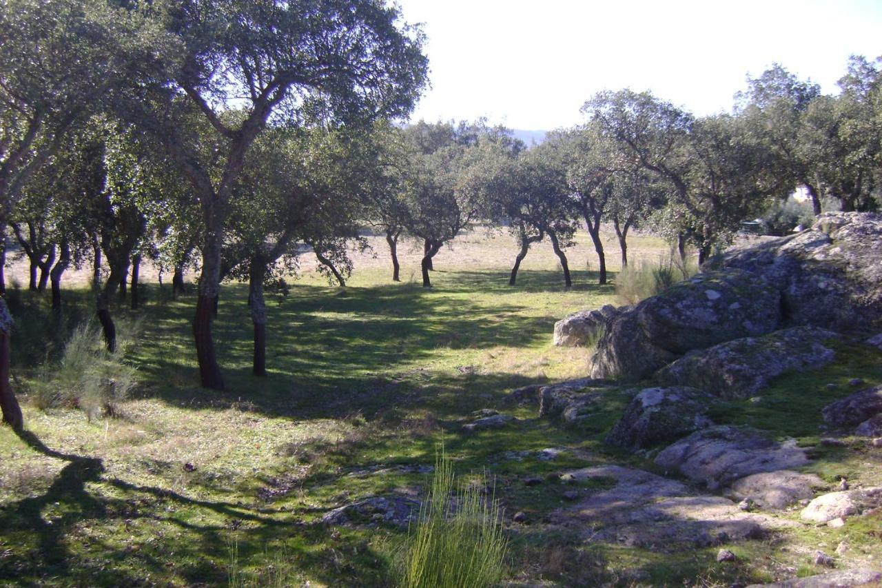 Tapada Da Beira Villa Marvão Dış mekan fotoğraf